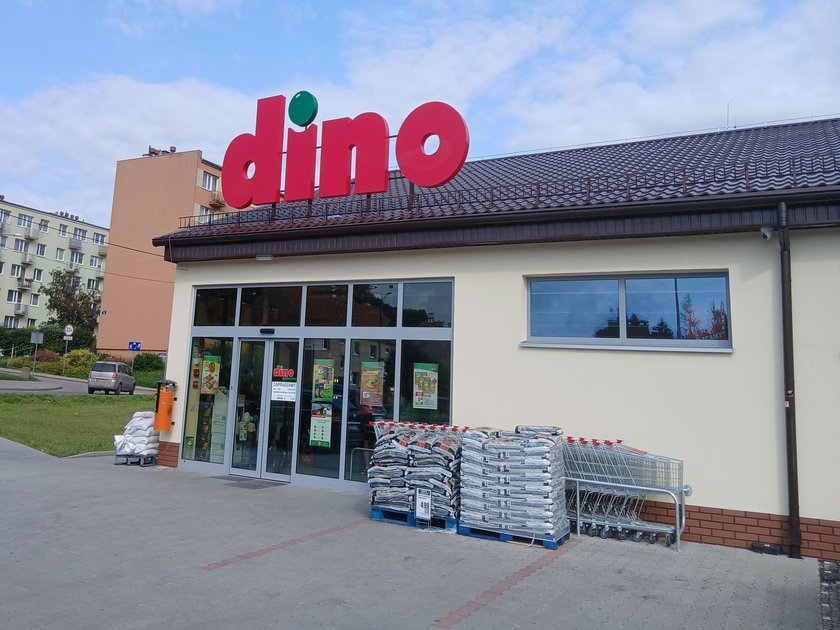 Klocki z Dino zdobyły wielką popularność.