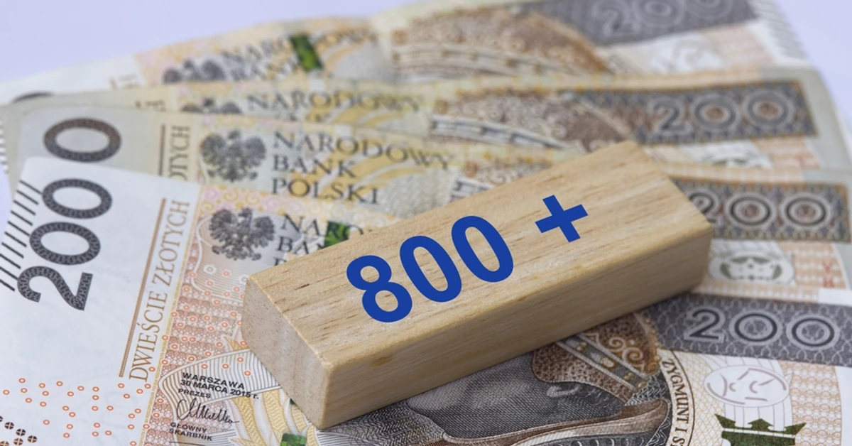 W ten sposób stracisz 800 plus. Komu nie przysługuje to świadczenie i w jakich sytuacjach?