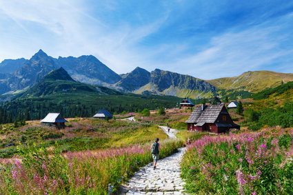 "LexZakopane", czyli jak władze miasta chcą wycisnąć cytrynę na inwestycyjnym boomie budowlanym