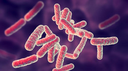 Dur brzuszny jest ostrą chorobą zakaźną wywoływaną przez bakterie – pałeczki duru brzusznego (Salmonella typhi)