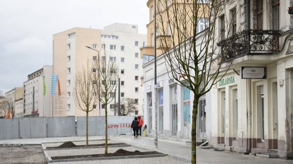 Rynek Łazarski w Poznaniu: nasadzono nowe drzewa i krzewy!