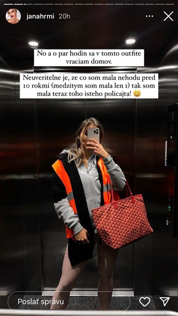 Hrmová zrazila divú zver.