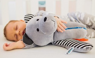 Szumiący miś z Polski dla córeczki szefa Facebooka. Start-up Whisbear promuje się u Zuckerberga