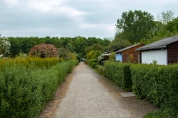 Plany ogólne zlikwidują ogródki ROD? Działkowcy apelują do Tuska