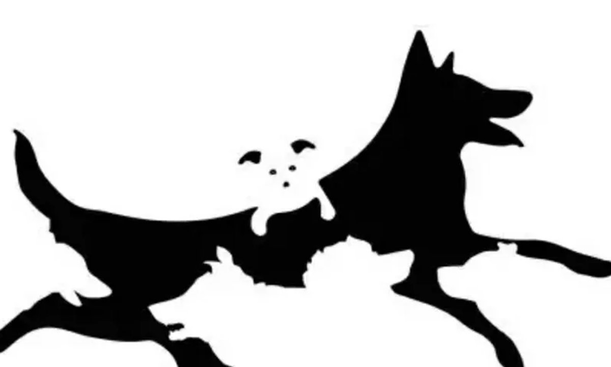 Ten test ujawni twój wiek psychologiczny. Masz tylko 10 sekund na odpowiedź