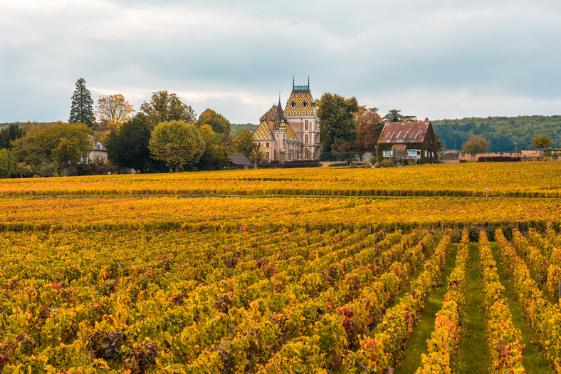 burgundia-mozaika-parceli-winiarskich-we-francji-ciekawostki
