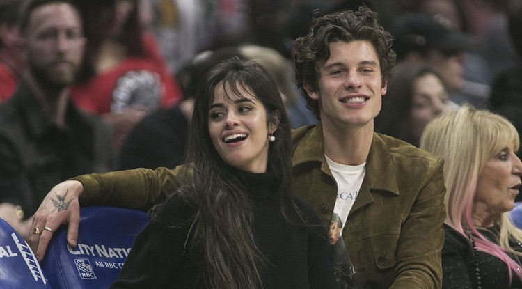 Shawn Mendes és Camila Cabello