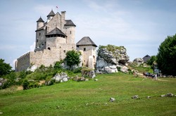 Historyczny QUIZ z dynastii Jagiellonów. Masz mniej niż 5/10? Czas na lekcje historii