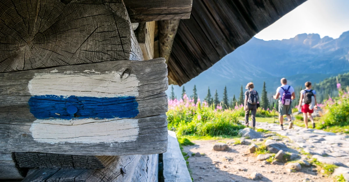 Ważna wiadomość dla turystów. Popularny szlak w Tatrach zamknięty