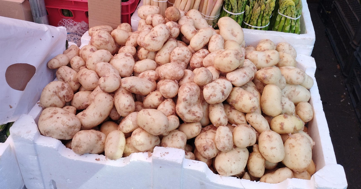 “National Potatoes” in the market near Lublin.  They were surprised by the seller’s words