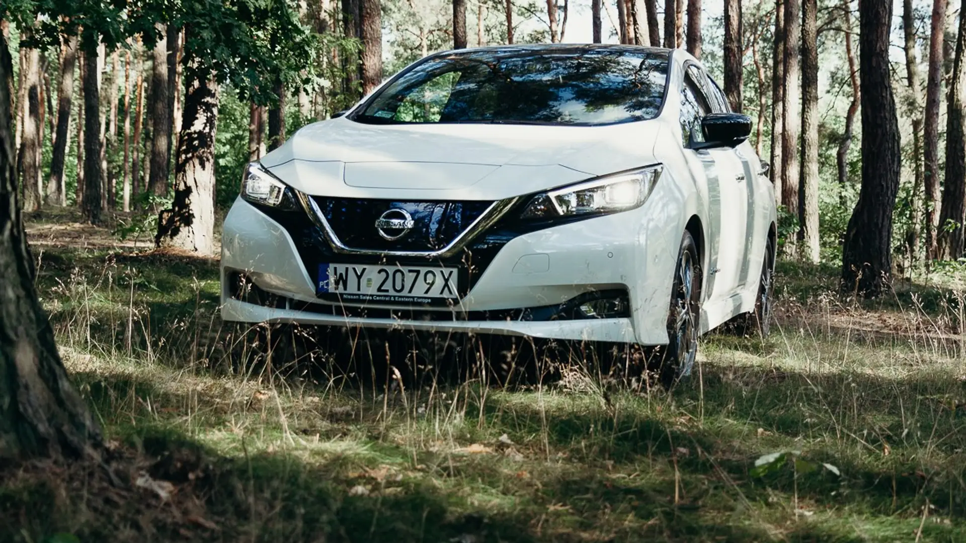 Zawsze myślałem, że kupujący auto na prąd jest albo pijany, albo niespełna rozumu