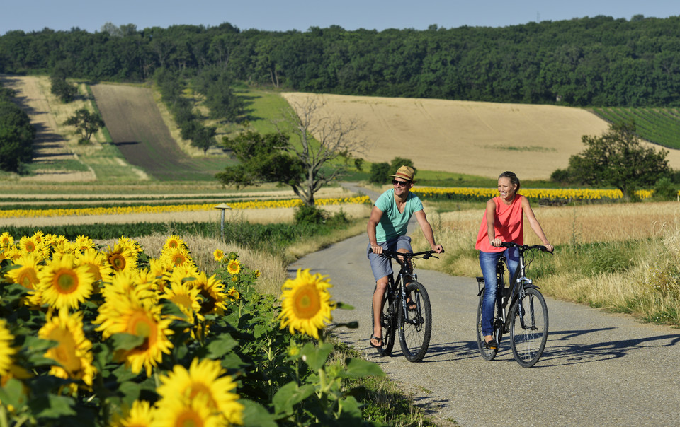 Burgenland idealnie nadaje się do spokojnej turystyki rowerowej
