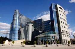 Politycy o decyzji TVP: Otwieranie puszki Pandory. Idiotyzm