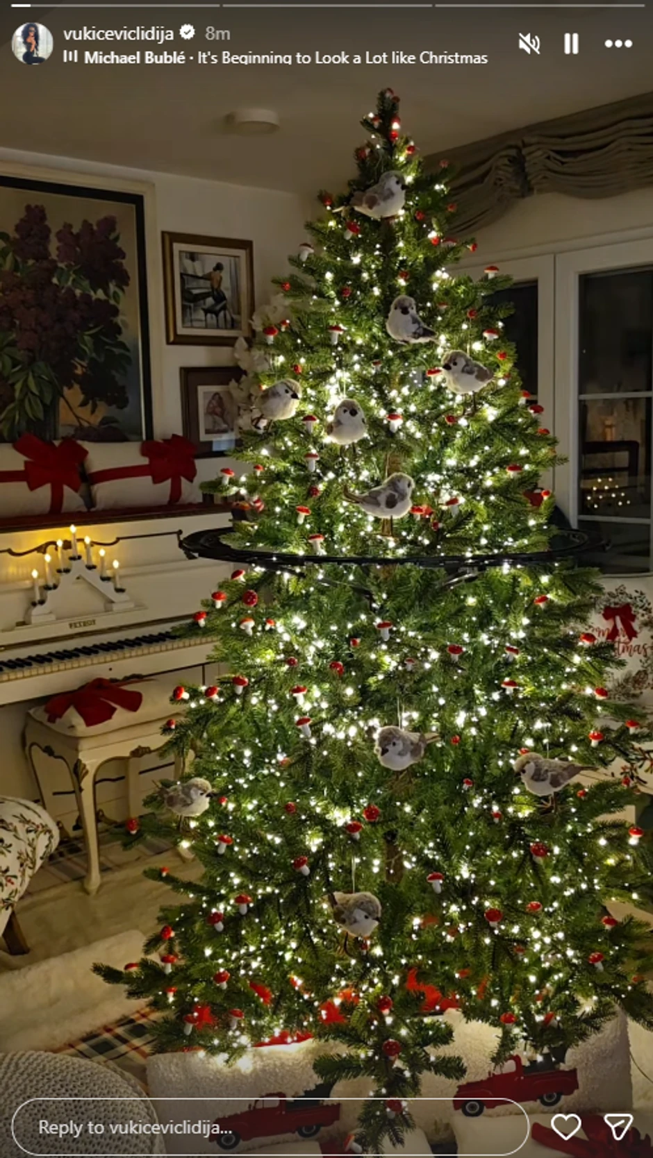 Lidija Vukićević pokazala novogodišnju bajku u svojoj kući