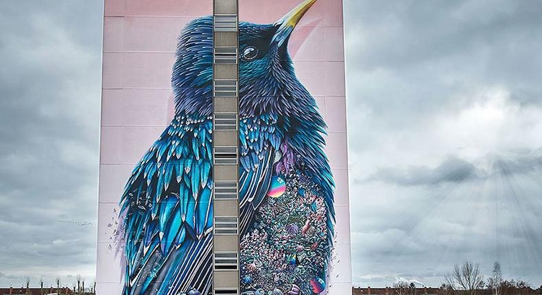 Starling mural