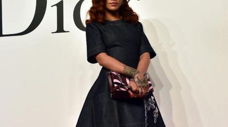 Rihanna ki akar szállni a popbizniszből