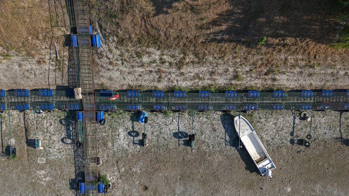Dunav, Novi Sad