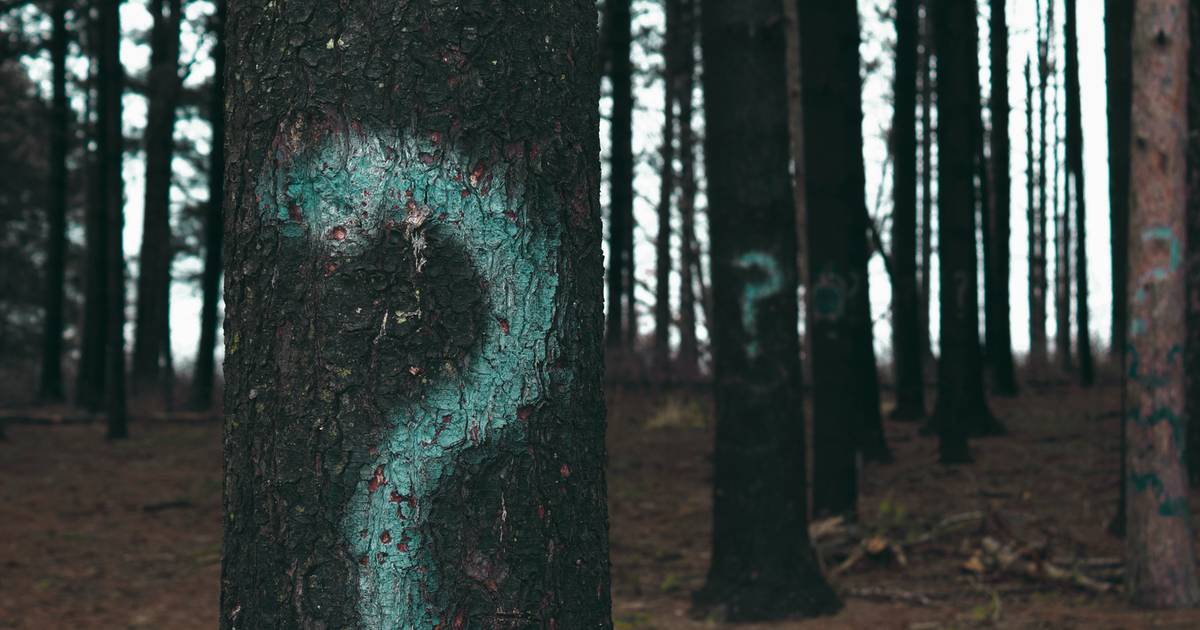 Quiz, który obnaża luki w wiedzy dorosłych Polaków. 14 pytań