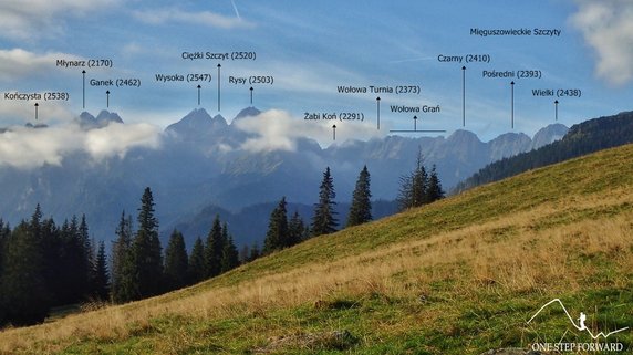 Panorama z Rusinowej Polany na Tatry Wysokie