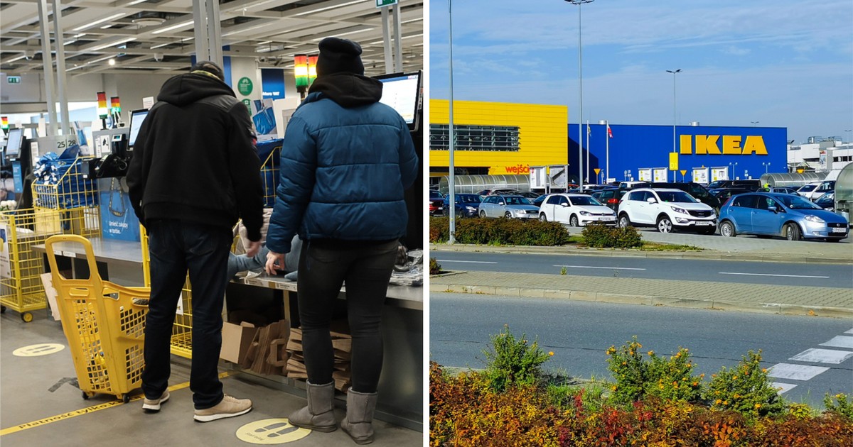 Ikea kupuje lasy nad Bałtykiem. Tak Polacy mogą na tym skorzystać