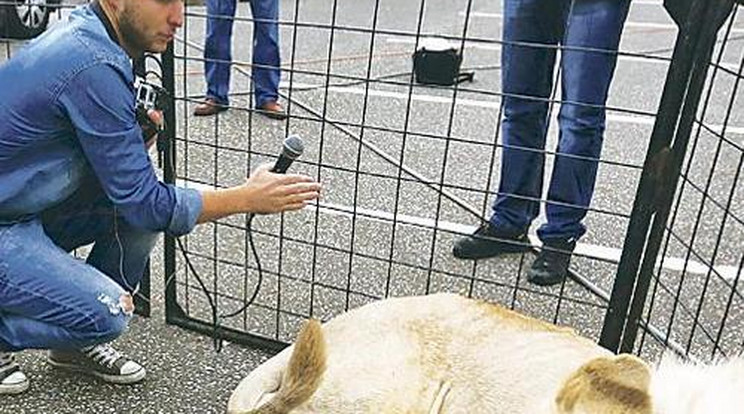 Ketrecbe zárták Istenes Bencét