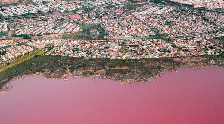 Mikroalgák miatt rózsaszín tó Torrevieja spanyol város mellett. / Fotó : Northfoto