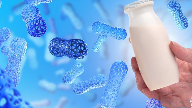 legjobb probiotikum emésztés bélflóra