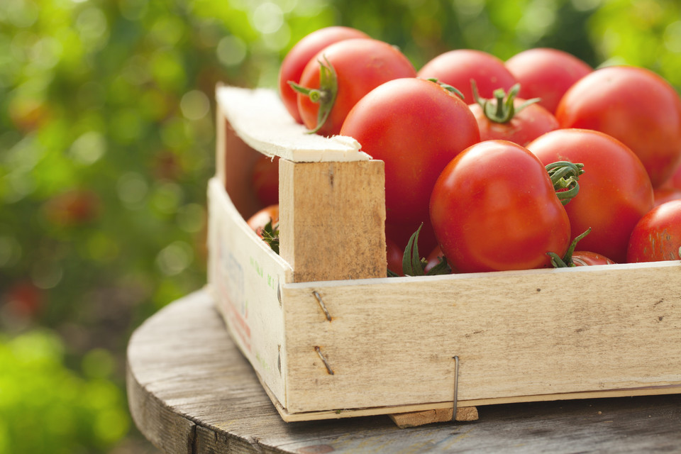 8. Produkty najlepsze dla mózgu: pomidory