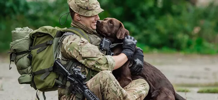 W armiach mają różne zadania. Czasem nawet szkolone na śmierć