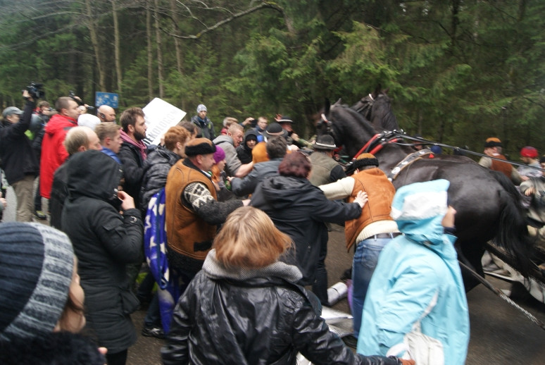 Fiakrzy rozpędzili protest obrońców zwierząt