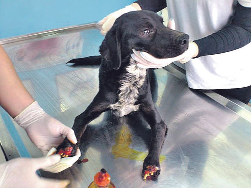 Preživeo zahvaljujući ribolovcima