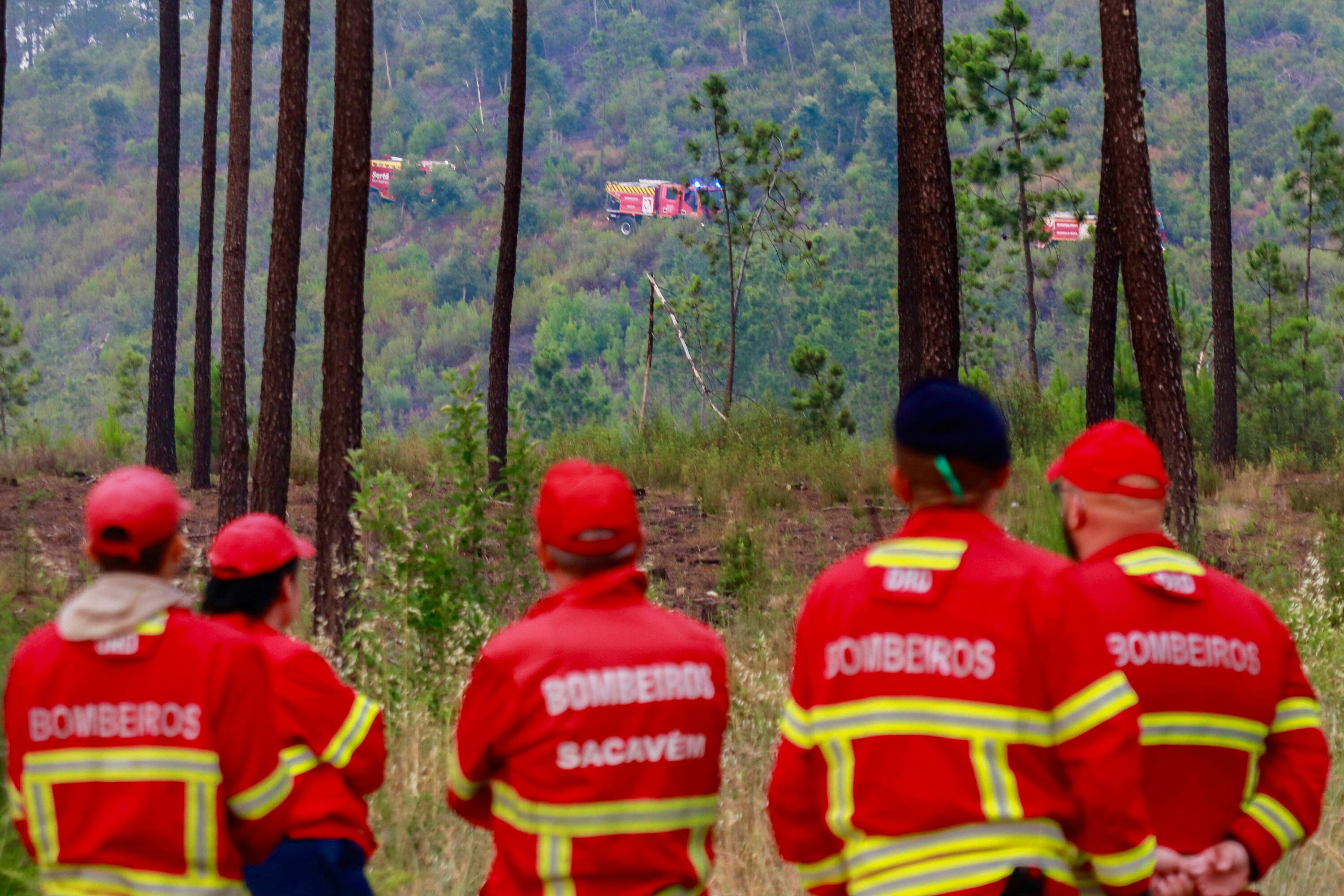Portugalia: Wielki pożar zmusza tysiące do ewakuacji