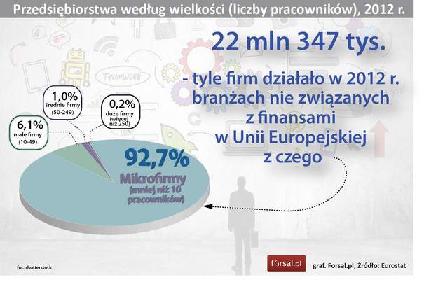 Według danych Eurostatu w 2012 roku, w Unii Europejskiej działało 22,3 mln przedsiębiorstw z czego zdecydowana większość (92,7 proc.) to mikroprzedsiębiorstwa zatrudniające co najwyżej 9 pracowników. Pozostałe 7,1 proc. to małe i średnie firmy zatrudniające od 10 do 249 osób pracowników. Największe przedsiębiorstwa, zatrudniające 250 lub więcej osób, stanowiły zaledwie 0,2 proc.