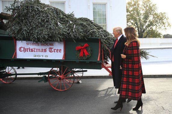 Donald Trump i Melania Trump zatwierdzali razem choinkę w 2018 roku