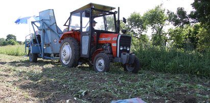 Ustawa miała pomóc rolnikom, ale im zaszkodzi?