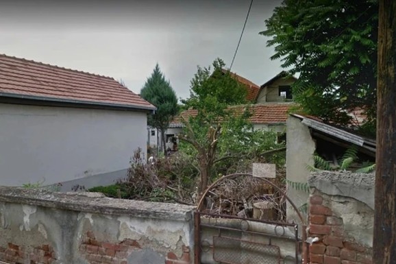 UMESTO BETONA I NOVE FASADE SVUDA ŠIBLJE I KOROV Ovako je iz
