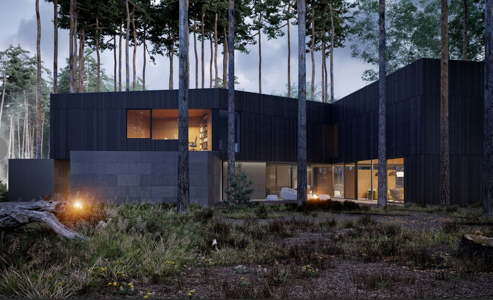 Dom w zgodzie z naturą, projekt: Przemek Olczyk / Mobius Architekci