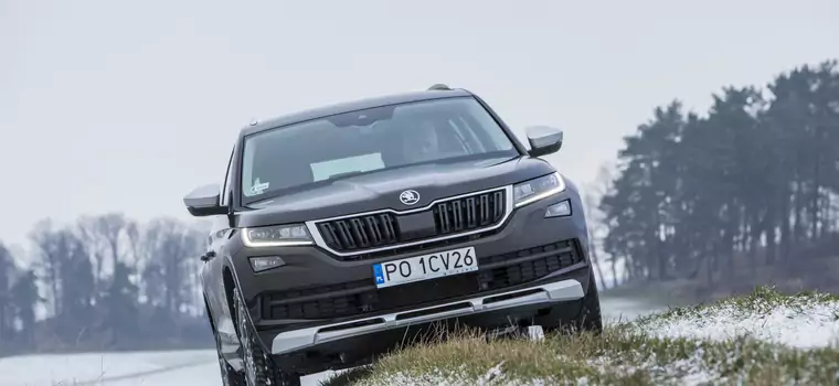 Skoda Kodiaq Scout 2.0 TDI 4x4 – SUV w cenie | TEST