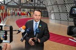 Sikorski przypomniał Węgrom ich własną historię. "To mnie fundamentalnie szokuje"