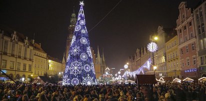 Choinka rozświetliła wrocławski Rynek!