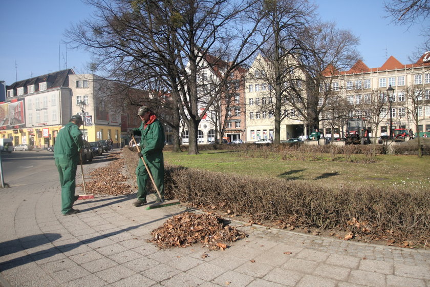 ZDiZ sprząta teren wokół pomnika Jana III Sobieskiego