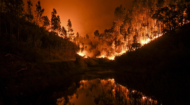 A lánglovagok mintegy 500 tűzfészek helyét határozták meg /Illusztráció: AFP
