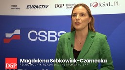 magdalena sobkowiak-czarnecka, pełnomocnik rządu ds. instrumentu safe: