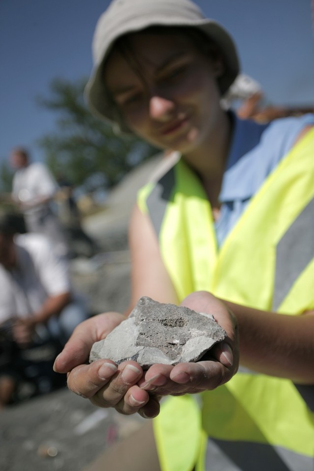 LISOWICE MUZEUM PALEONTOLOGICZNE