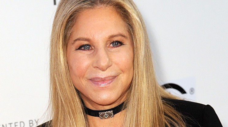 Barbra Streisand/Fotó:Northfoto