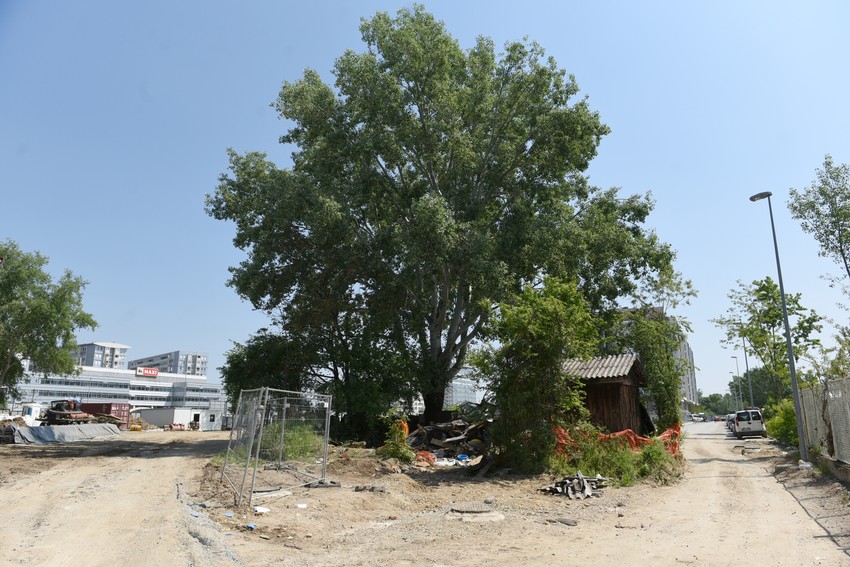 Baraka se nalazi između dva gradilišta