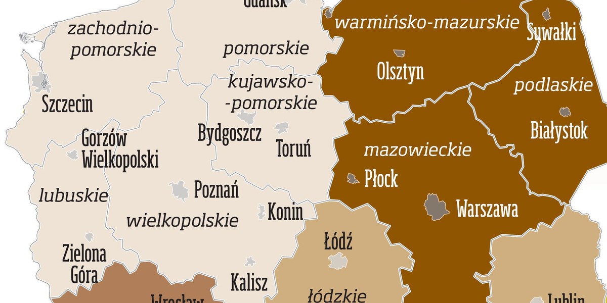 kleszcze 