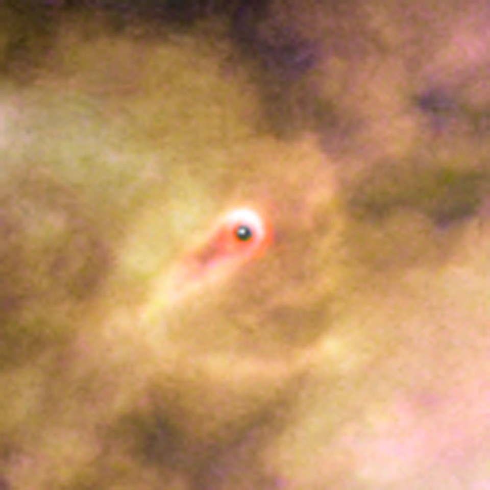 Born in beauty: proplyds in the Orion Nebula