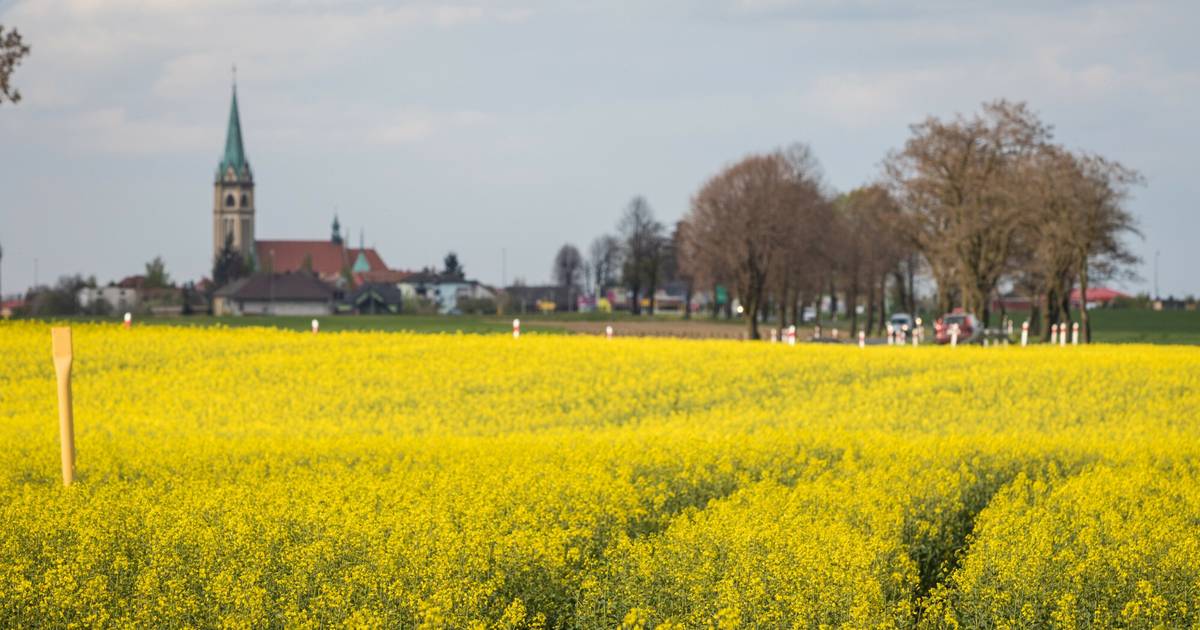 Będzie drugi oficjalny język regionalny w Polsce? Używa go kilkadziesiąt osób