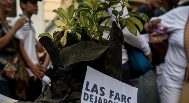 A Colombian FARC rebel turns his combat boots into a plant pot as a symbol of renouncing violence for peace, as up to 10,000 rebels prepare to return to civilian life